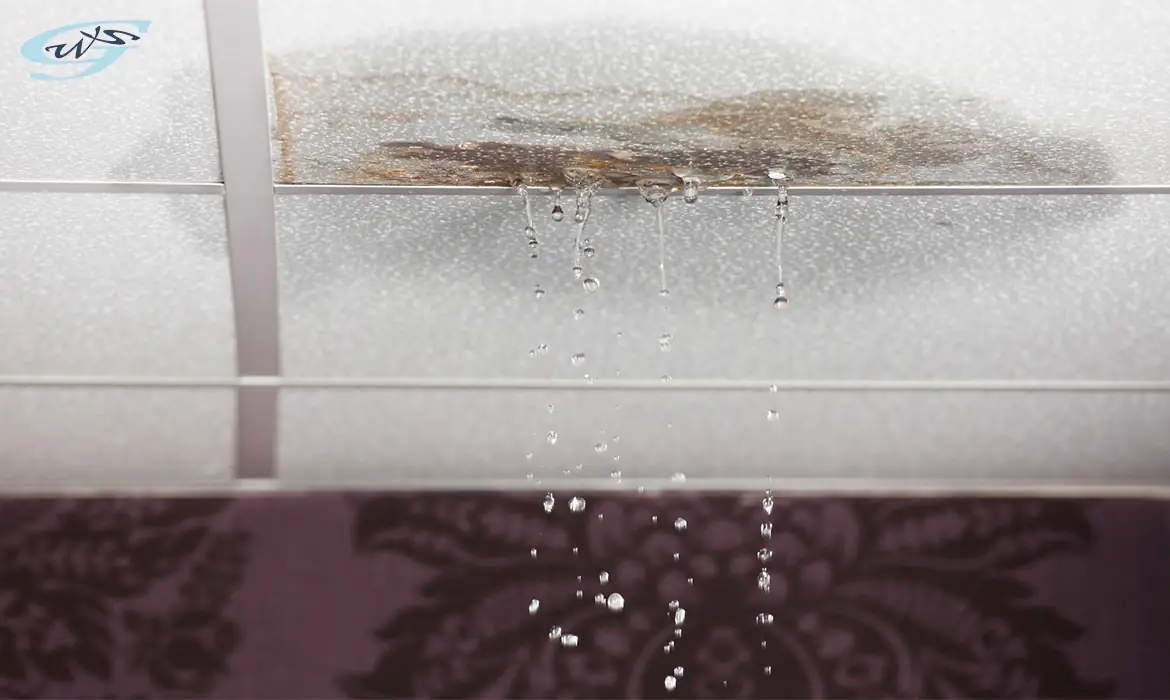 Serious Water Leakage from The Ceiling in a HDB
