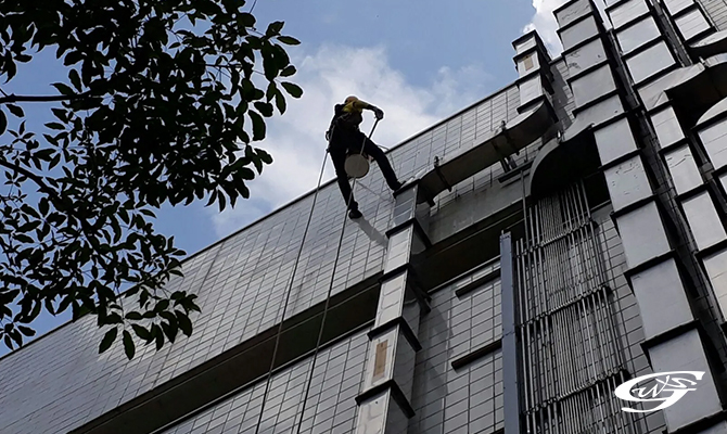 abseilers performing maintenance tasks on a building facade
