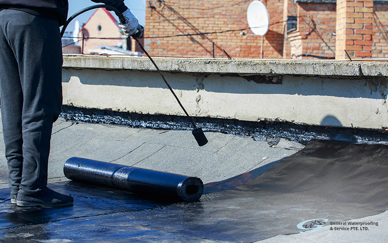 A professional waterproofing a roof
