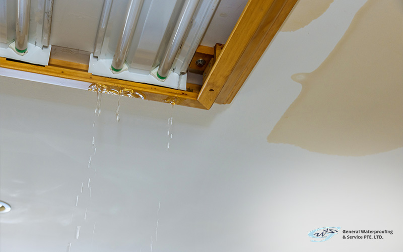 Water leaking from a light fixture