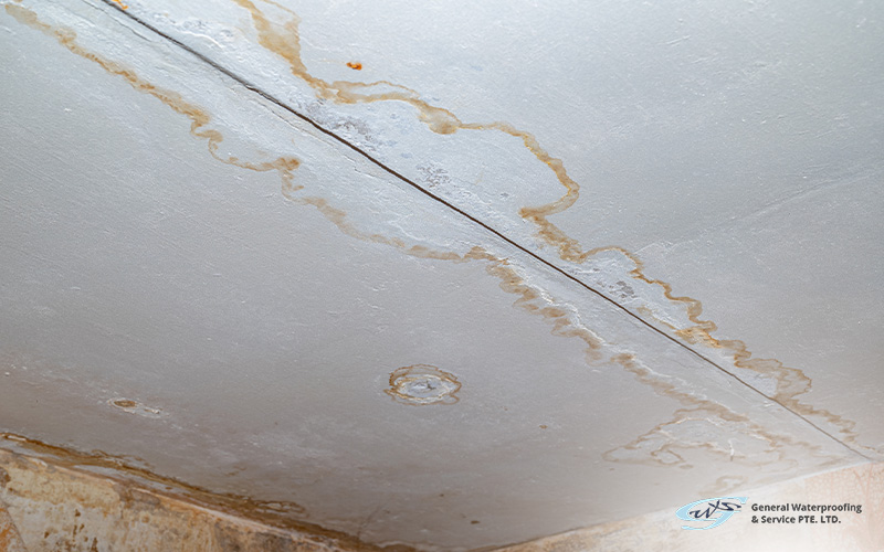 roof leak marks