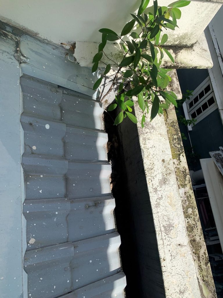 Gutter & Drainage Leakage
