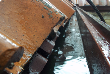 Clogged Drainage Outlets