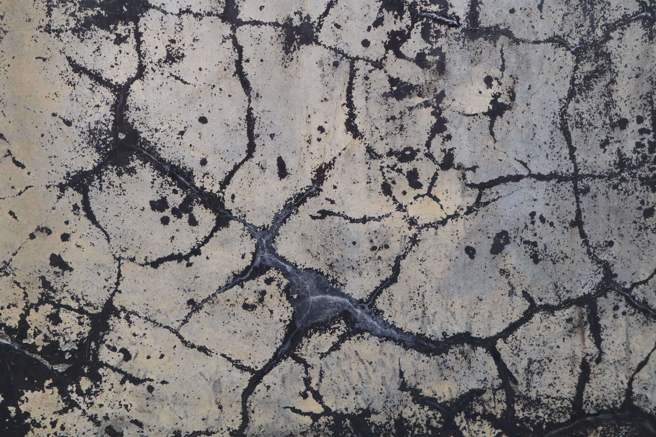 Dark web-like cracks on a stained concrete surface