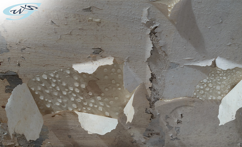 Water damage causing paint to peel off wall surface.
