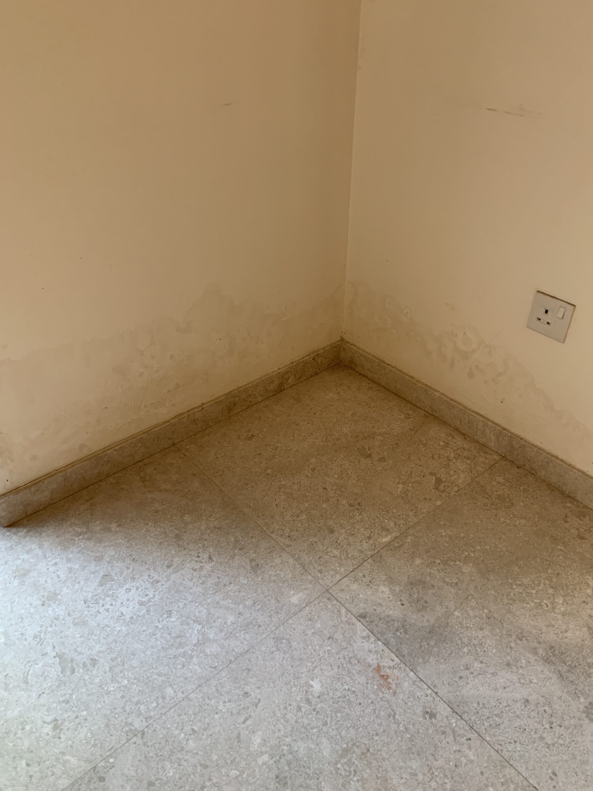 Wall seepage before